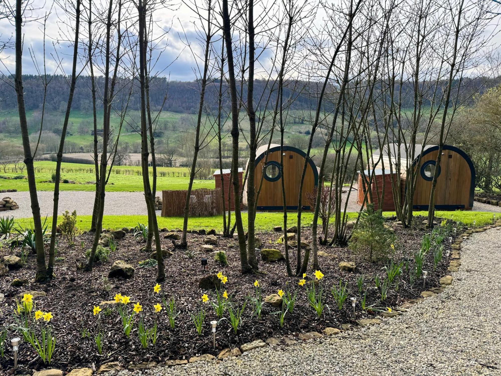 ホテル Luxury Glamping In North Yorkshire National Park & Coastal Area スカーバラ エクステリア 写真